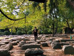 -名古屋城