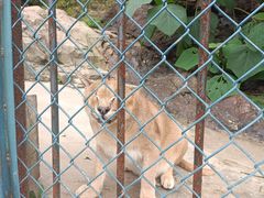 -大连森林动物园