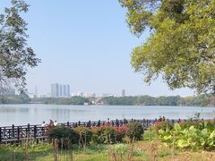 -海珠湖公园