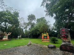 -瑞丽独树成林风景区