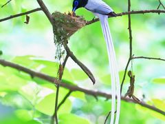 -桤木河湿地公园