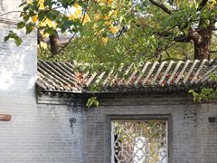 -花洲书院