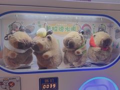 -银座mall(东直门店)