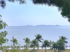 -港珠澳大桥(珠海段)