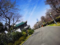 -月湖风景区