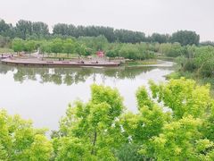 -东郊湿地公园
