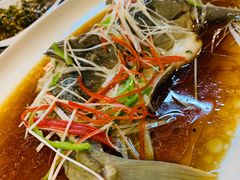 -庭院小酌(瑞莲街店)