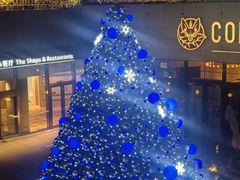 -上海柏悦酒店·世纪100牛排馆