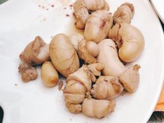 -不炭白烧烤(成都首店)