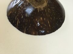 -志龙皇冠吃货椰子铺