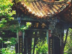 -昆明动物园