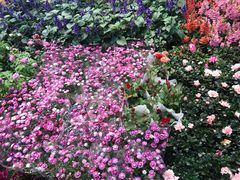 -双季花艺园艺市场(浦东店)