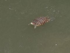 -苏州河梦清园环保主题公园