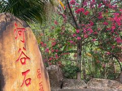 -海南热带雨林国家公园吊罗山景区