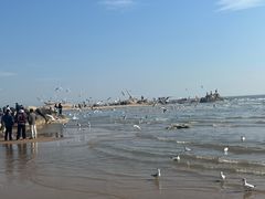 -老虎石海上公园