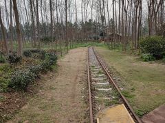 -合肥滨湖国家森林公园