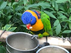 -南宫五洲植物乐园