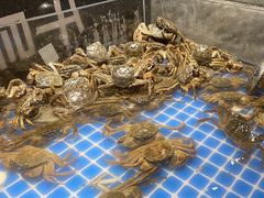 -亚马逊海鲜自助(梅溪湖步步高店)