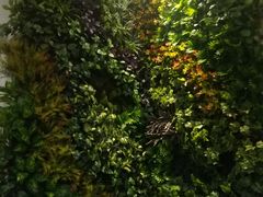 -亮雅轩图文快印连锁24小时(百子湾苹果社区店)