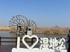 -宁波杭州湾国家湿地公园