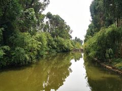 -云南民族村