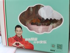 -维尔纳斯·生日蛋糕动物奶油冰淇淋蛋糕(人大店)