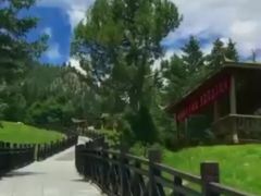 -空中草原