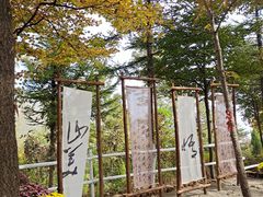 -沂蒙山旅游区云蒙景区(蒙山国家森林公园)