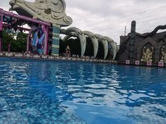 -苏州乐园森林水世界