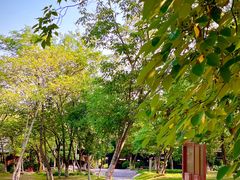 -盘龙城国家考古遗址公园