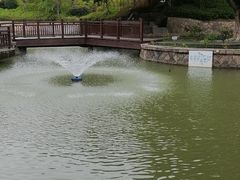 -郑和公园