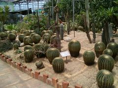 -广东茂名森林公园