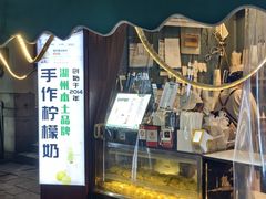 -猫的魔法密林(衣裳街店)
