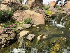 -罗红摄影艺术馆