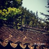 徐家汇光启公园