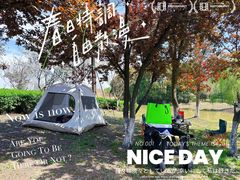 -西山漾湿地公园