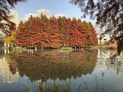 -白塘生态植物园