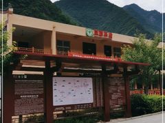 -黑河国家森林公园