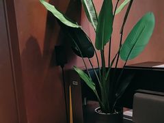 -卡朋西餐(宝安大仟里店)