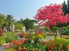 -深圳仙湖植物园