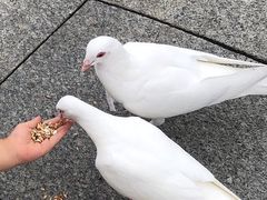 -星海广场