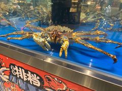水产区-盒马鲜生(龙德广场店)