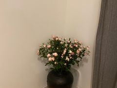 -三圣花乡旅游区