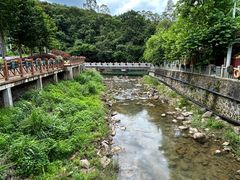 -广州白江湖森林公园