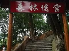 -石燕湖生态旅游景区