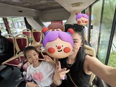 -BUS TOUR观光巴士