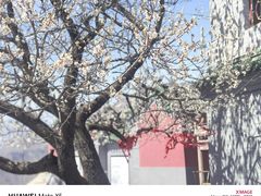 -圣莲山风景区