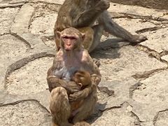 -哈尔滨北方森林动物园