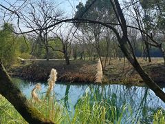 -西溪国家湿地公园