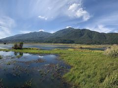 -腾冲北海湿地